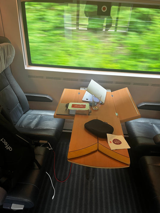 Wer passt auf dein Gepäck auf, wenn du im Bordrestaurant sitzt?