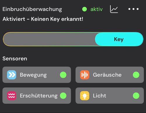 Einbruchsüberwachung in der App