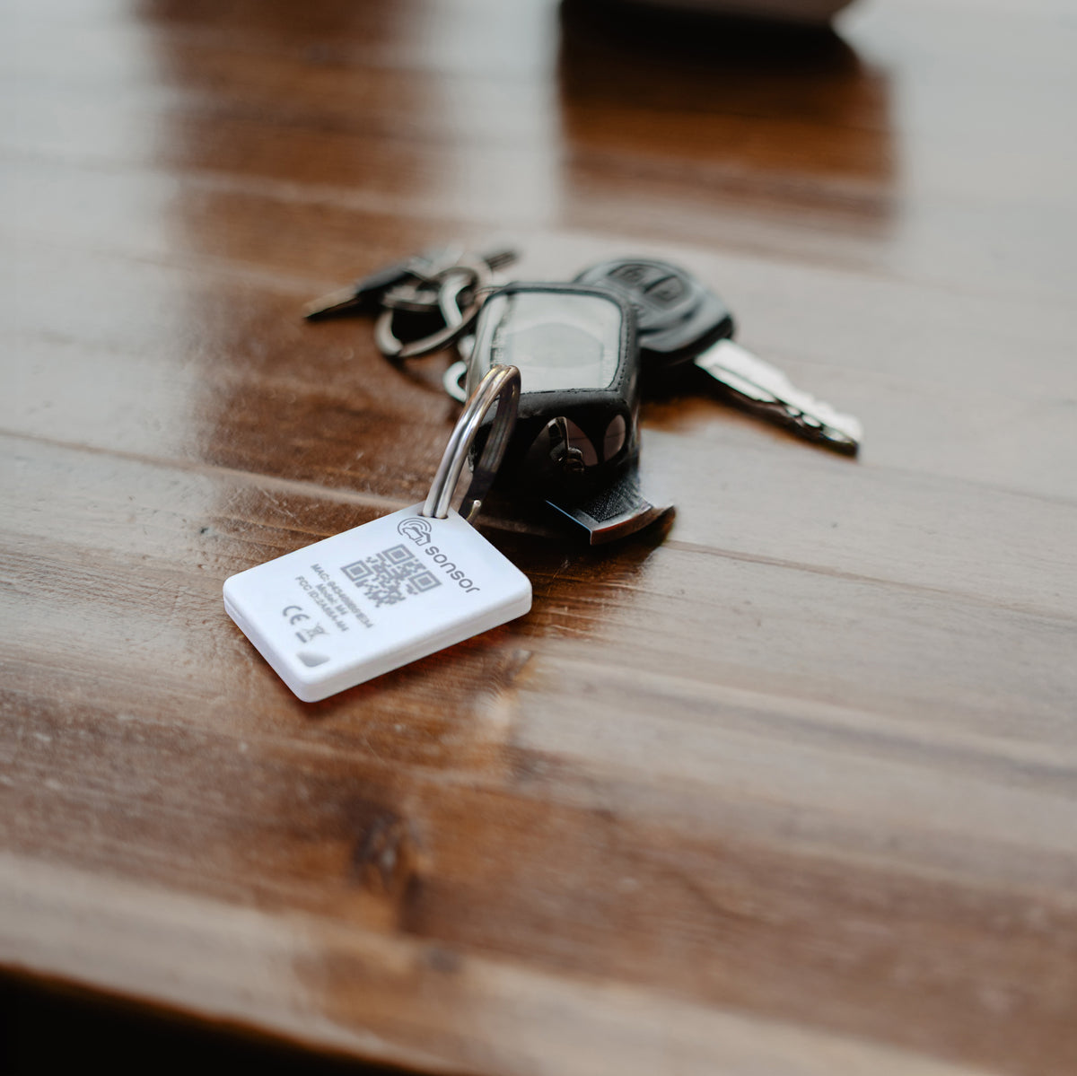 sonsor-Key am Schlüsselbund